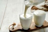شیر در دو راهی سلامتی و خطر