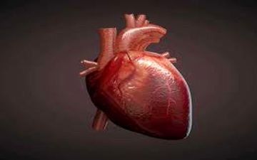 تاثیرات مخرب اختلال ریتم قلب بر سلامت بدن
