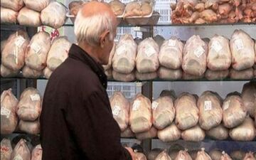 توزیع 23 تن مرغ تنظیم بازار در دماوند