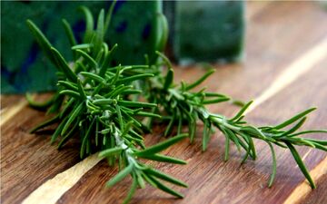این سبزی معطر ضد سرطان است