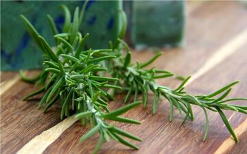این سبزی معطر ضد سرطان است