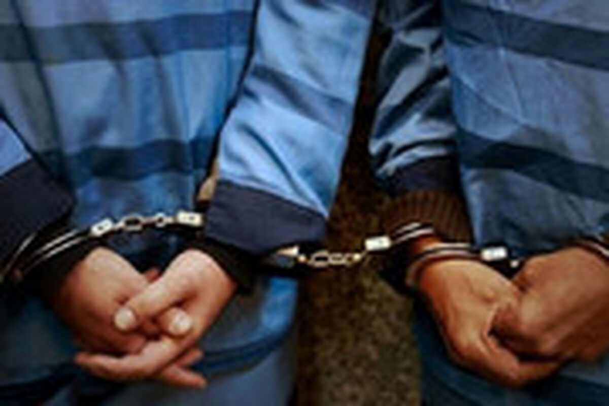 دستگیری ۲۰ نفر اراذل و اوباش در مهمانی شبانه 