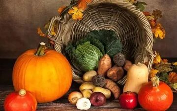 غذاهای پاییزی طبیعی برای تقویت بدن