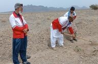 جوانان هلال‌احمر سیستان و بلوچستان بیش از ۳۶۴ هزار درخت و بذر کاشتند
