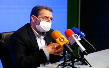 معاون وزیر بهداشت: آبله میمون از کانادا وارد ایران شد 