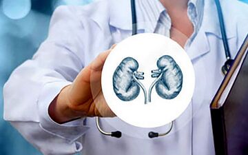 بهترین غذاهای گیاهی دوستدار کلیه ها