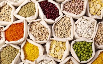  قیمت لوبیا چیتی رکورد گرانی را زد 