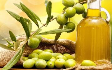 دلایلی برای استفاده هرچه بیشتر از زیتون