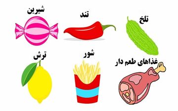 بگو ذائقه ات چیه تا ابعاد تازه ای از شخصیتت رو بهت بگم!