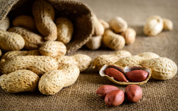 بادام‌زمینی روند پیری را آهسته می‌کند