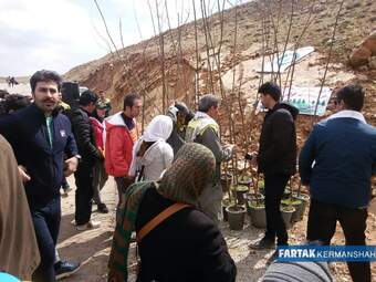 برگزاری همایش پیاده روی، دوچرخه سواری و نهال کاری در پارک جنگلی سراب قنبر به روایت تصویر