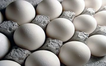 گرانی تخم‌مرغ به تولید ربط ندارد/ نرخ منطقی شانه‌ای ۱۰ هزار تومان