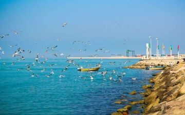 هر آنچه باید درباره خرید ارزان بلیط بوشهر بدانید