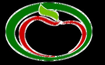 مشکلاتی که در ماه رمضان سراغ بیماران می‌آید/ ترفندی سریع و ساده برای چاق شدن صورت/ در خانه نانوایی کنید/ "کَلسیفیکاسیون" در کمین شماست/ مراسم ویژه شب‌های قدر برای دانشجویان
