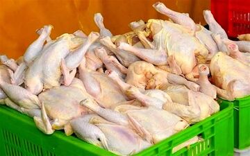 قیمت مرغ امروز ۱۹ مهر ۱۴۰۴؛ نرخ انواع در بازار اعلام شد