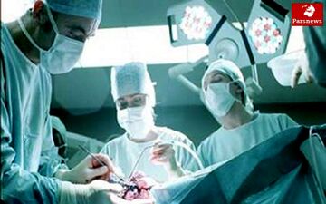 دماغ خوکی، لب شتری و گوش الاغی در ایران