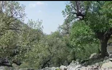 طبیعت بی‎‌نظیر و دیدنی در روستای بیدرود + فیلم 