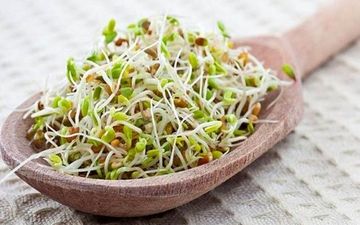  خواص جوانه‌ها برای سلامتی