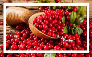مقایسه ویتامین C کرنبری و انار: کدام‌یک بهتر است؟