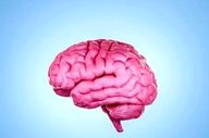 آیا چندزبانه‌بودن واقعاً از زوال عقل جلوگیری می‌کند؟