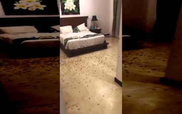 اتفاق عجیبی که گردشگران روسی در هتل با آن مواجه شدند+فیلم
