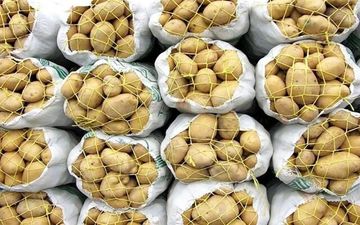 کشف انبارهای احتکار سیب‌زمینی در شیراز

