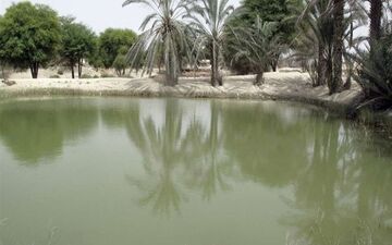 مرگ تلخ کودک 4 ساله در "هوتگ"