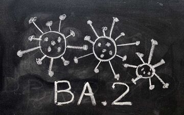 شناسایی زیرسویه مسری‌تر اُمیکرون در ژاپن