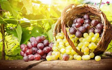 رنگ های مختلف انگور چه خواصی دارند؟