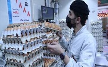 قیمت مرغ و تخم‌مرغ اصلاح می‌شود