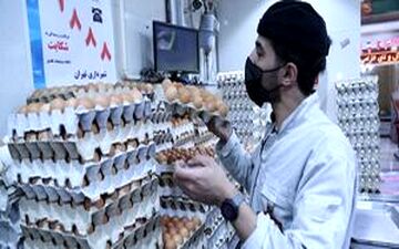 قیمت مرغ و تخم‌مرغ اصلاح می‌شود