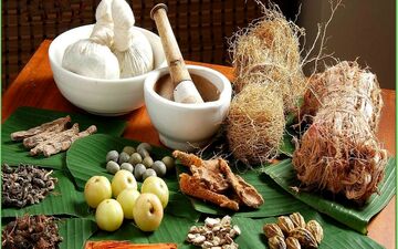 بهترین روش رفع چربی خون