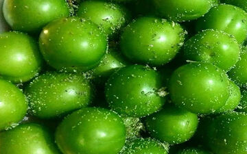 خوردن گوجه سبز برای این افراد ممنوع است