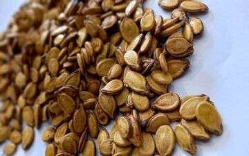 تخمه هندوانه، بمب انرژی و پروتئین