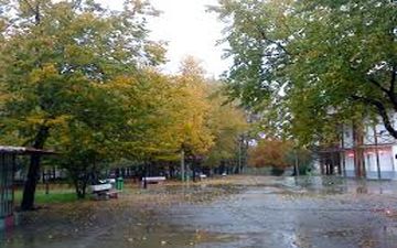 ثبت ملی نمونه‌ای از باغ ایرانی در رشت 