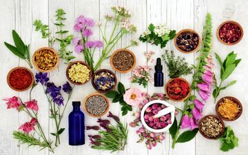 چند دمنوش‌ مفید برای سرماخوردگی