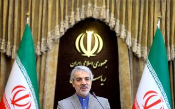  نوبخت: 100 میلیارد تومان خسارت ناشی از معدوم کردن مرغ پرداخت می شود