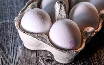 
آغاز توزیع تخم مرغ با قیمت مصوب 
