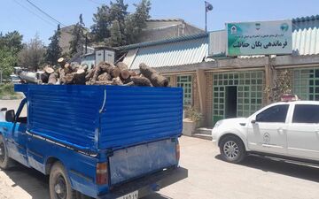 توقیف ۲.۳ تُن چوب جنگلی بلوط در شهرک صنعتی کرمانشاه