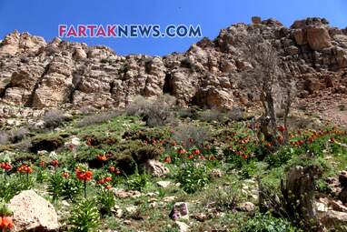 محسن عباسی‌فرد- ایرج الیاسی دالاهو