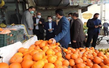 مردم نگران میوه شب عید نباشند