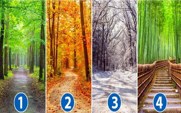 می‌خوای بهت بگم دارای چه شخصیتی هستی؟ یک مسیر رو برای پیاده روی انتخاب کن تا بهت بگم!