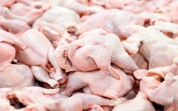 جدیدترین نرخ انواع مرغ در بازار امروز ۲۰ شهریور ۱۴۰۴