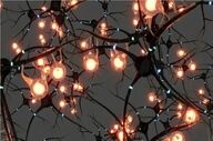 ابداع نورون جدید آزمایشگاهی که تنها با ۰.۱ ولت برق کار می‌کند