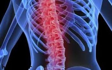 یافته های پژوهشی نشان می دهد؛ آسیب نخاعی باعث تحلیل رفتن عضلات می شود