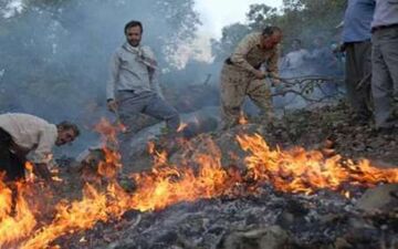  آتش سوزی پارک ملی گلستان مهار شد