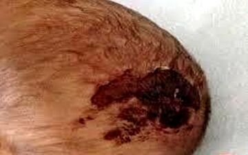 دستگیری خواننده رپ به خاطر قتل شوهر مادرش  + عکس