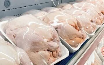 کاهش قیمت مرغ به ۳۴۰ هزار تومان؛ چالش‌های پیش‌روی مرغداران
