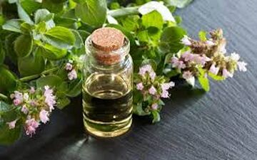  روغن پونه‌کوهی مناسب چه افرادی است؟