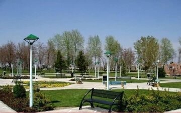 هزینه ۶۳ میلیاردی توسعه و حفظ سالانه فضای سبز شهر سمنان